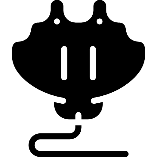 Manta ray